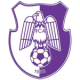 Arges Pitesti