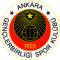 Gençlerbirliği S.K.