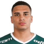 Henri Marinho dos Santos