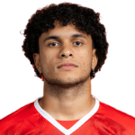 Gabriel Silva Vieira