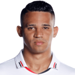 Erick de Arruda Serafim