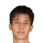 Mihajlo Petrović
