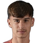 Bogdan Mirčetić