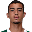 Diogo Antonio Rodrigues da Silva