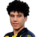 Ahmed Fawzi Ahmed Mohamed Attia