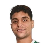 Mahmoud Mohamed Taher Shabana