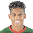 André Filipe Cunha Vidigal