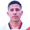 Luis Fernando Pavia Mamani
