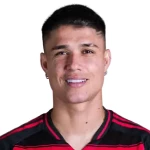 Luiz de Araújo Guimarães Neto
