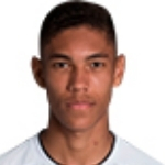 Vinicius Balieiro Lourenco De Carvalho