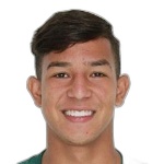 Pedro Henrique Pereira Viana