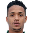 Rodrigo Henrique Santana da Silva