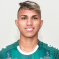 Vinícius dos Santos Ribeiro