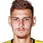 Rafael Henrique Milhorim