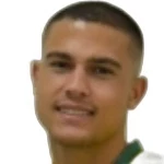 Vinicius Henrique Baracioli Maciel
