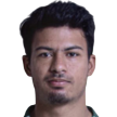 Vinicius Henrique Santos Ferreira