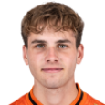 Bram van Driel
