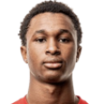 Diallo Sanoussi
