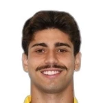 Mateus Henrique Vanelli Lusuardi
