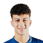 Ali Mahmoud