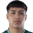 Diego Amaro Opazo Oyarzo
