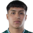 Diego Amaro Opazo Oyarzo