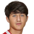 Davit Gogilashvili