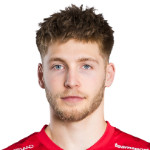 David Holoubek
