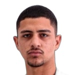 Erik Henrique Ferreira Silva