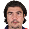 N. Pisarev